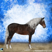 Horse Color:Liver Chestnut Ice Mushroom 
