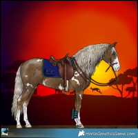 Horse Color:White Spotted Chocolate Palomino Mushroom Sabino