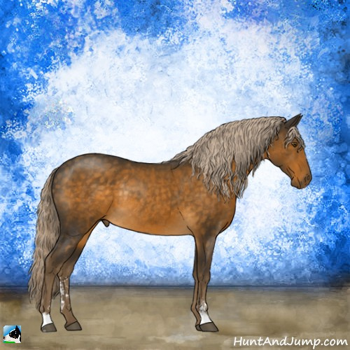 Horse Color:Chocolate Palomino Mushroom Sabino Rabicano 