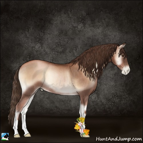 Horse Color:Liver Red Onyx Pearl Rabicano 