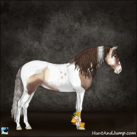 Horse Color:Liver Red Onyx Pearl Tobiano