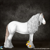 Horse Color:Classic Champagne Pearl Onyx Splash Tobiano 