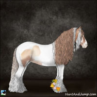 Horse Color:Red Onyx Pearl Tobiano Rabicano 