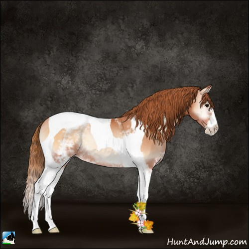 Horse Color:White Spotted Bay Pearl Onyx Tobiano Rabicano 