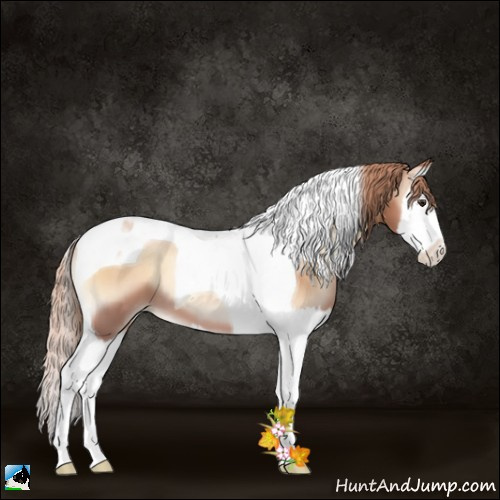Horse Color:Red Onyx Pearl Splash Tobiano 
