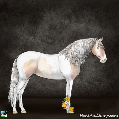 Horse Color:Silver Sable Champagne Pearl Onyx Tobiano Rabicano
