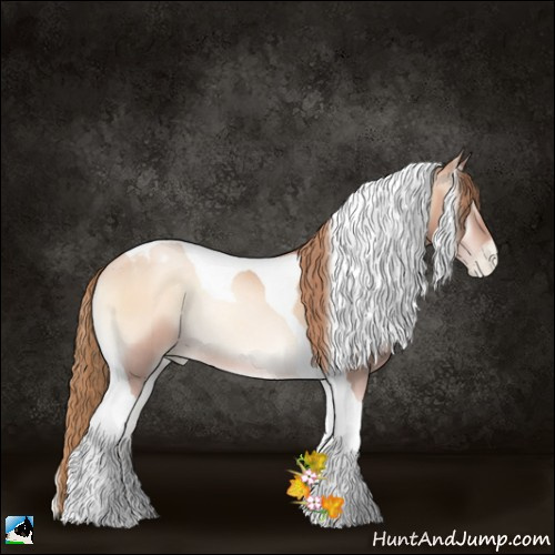 Horse Color:Gold Champagne Pearl Onyx Tobiano Rabicano 