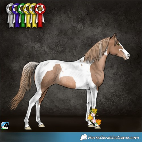 Horse Color:Liver Chestnut Pearl Tobiano Rabicano 