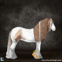 Horse Color:Liver Red Onyx Pearl Splash Tobiano Rabicano 