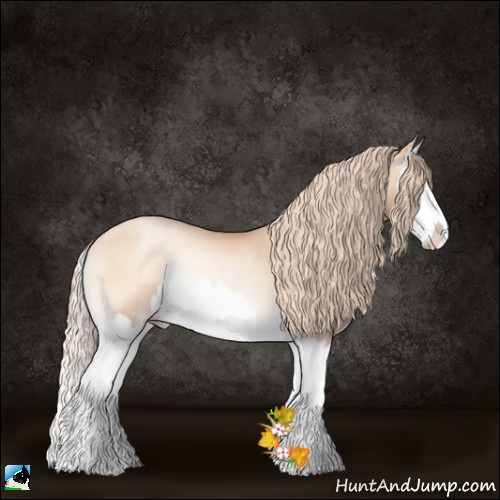 Horse Color:Gold Champagne Pearl Onyx Splash Rabicano 