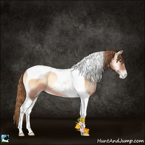 Horse Color:Red Onyx Pearl Tobiano 
