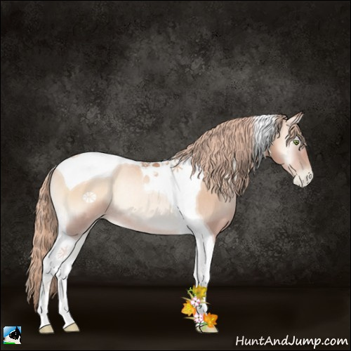 Horse Color:Gold Champagne Pearl Onyx Tobiano Rabicano 
