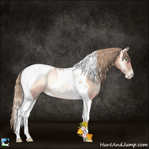 Horse Color:Gold Champagne Pearl Onyx Tobiano Rabicano 