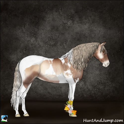 Horse Color:Liver Red Onyx Pearl Tobiano Rabicano 
