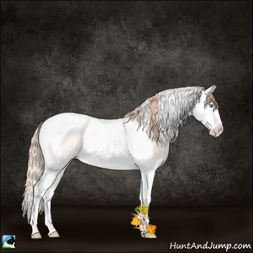 Horse Color:Gold Champagne Pearl Onyx Splash Tobiano Rabicano 