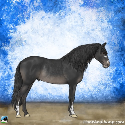 Horse Color:Black Sabino Rabicano 