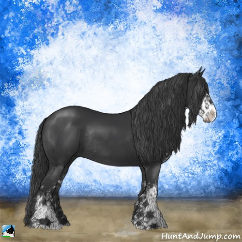 Horse Color:Black Sabino Rabicano 