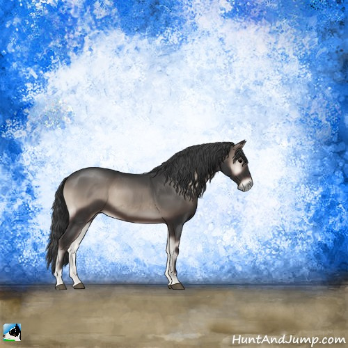Horse Color:Blue Onyx Mushroom Sabino Rabicano 