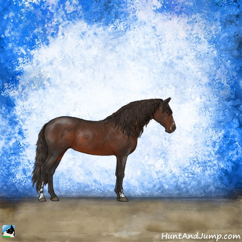 Horse Color:Liver Chestnut Sabino Rabicano 