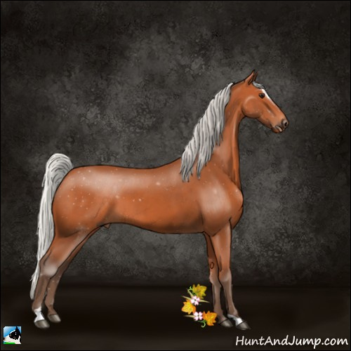 Horse Color:Silver Bay Sabino 