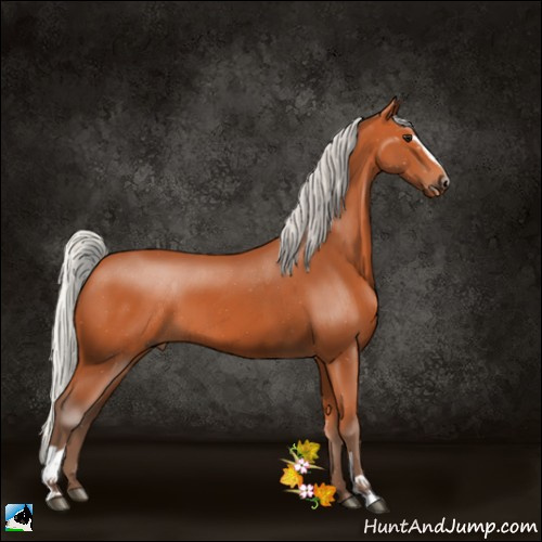 Horse Color:Silver Bay Sabino 