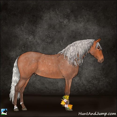 Horse Color:Silver Bay Roan Sabino 