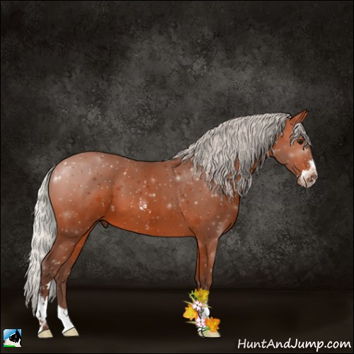 Horse Color:Silver Bay Sabino 