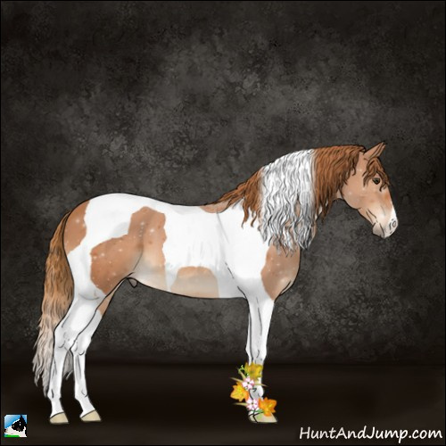 Horse Color:Chestnut Tobiano 