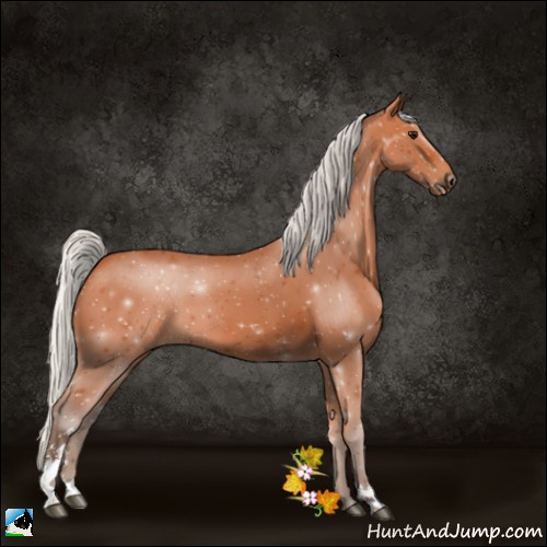 Horse Color:Silver Bay Sabino 