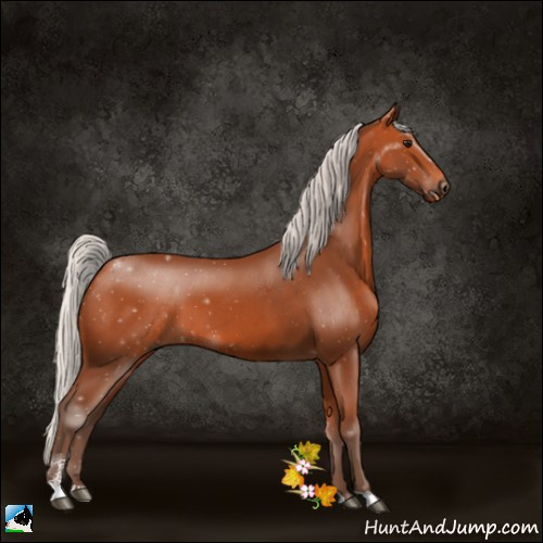 Horse Color:Silver Bay Sabino 