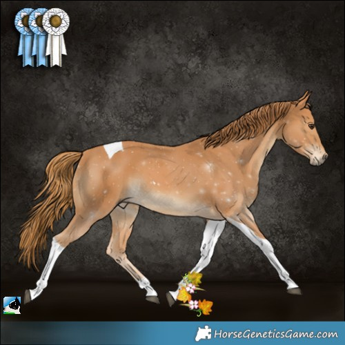 Horse Color:Chestnut Tobiano 