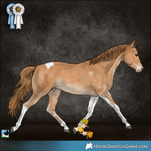 Horse Color:Chestnut Tobiano 