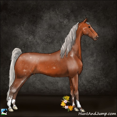 Horse Color:Silver Bay Sabino 