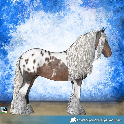 Horse Color:Liver Chestnut Mushroom Tobiano Appaloosa 