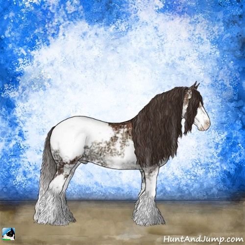 Horse Color:Sable Champagne Ice Onyx Sabino Appaloosa Rabicano 