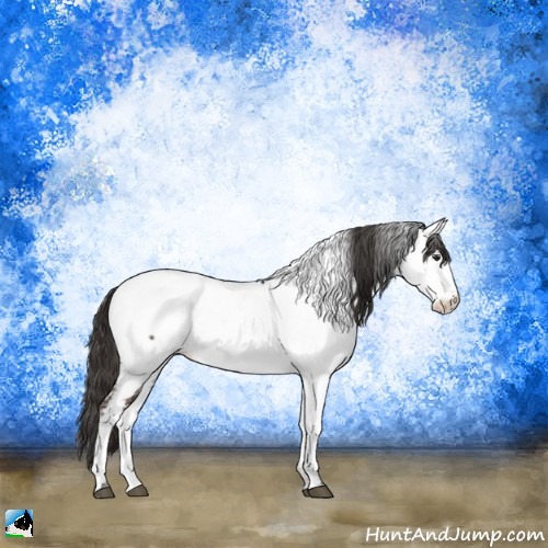 Horse Color:Liver Red Onyx Ice Appaloosa 