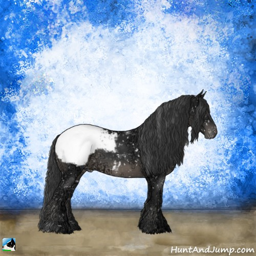 Horse Color:Black Ice Mushroom Appaloosa Rabicano 