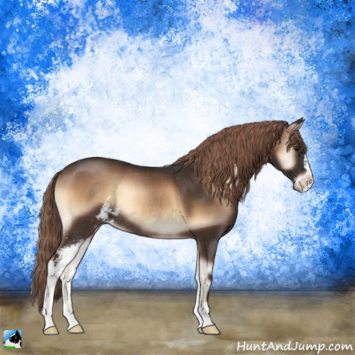 Horse Color:Liver Red Onyx Sabino Rabicano 