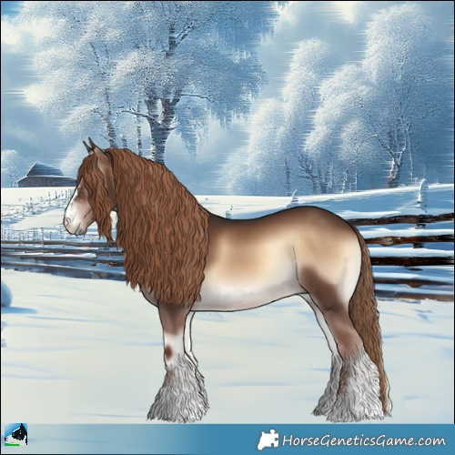 Horse Color:Liver Red Onyx Sabino Rabicano 