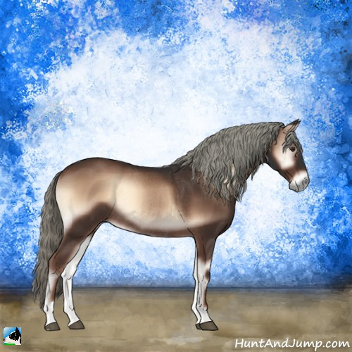 Horse Color:Liver Red Onyx Mushroom Rabicano 