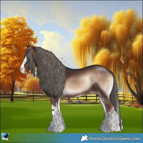 Horse Color:Liver Red Onyx Mushroom Splash Rabicano 