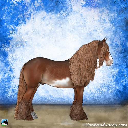 Horse Color:Liver Chestnut Frame Rabicano 