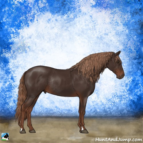 Horse Color:Liver Chestnut Rabicano 