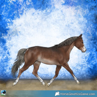 Horse Color:Liver Chestnut Mushroom Rabicano 