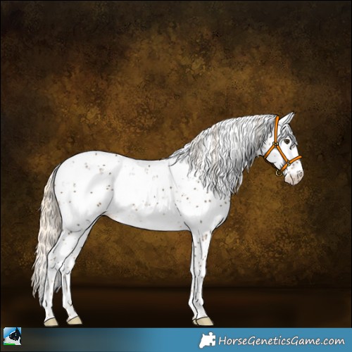 Horse Color:Chocolate Palomino Mushroom Sabino Rabicano 