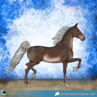 Horse Color:Liver Chestnut Mushroom Rabicano 