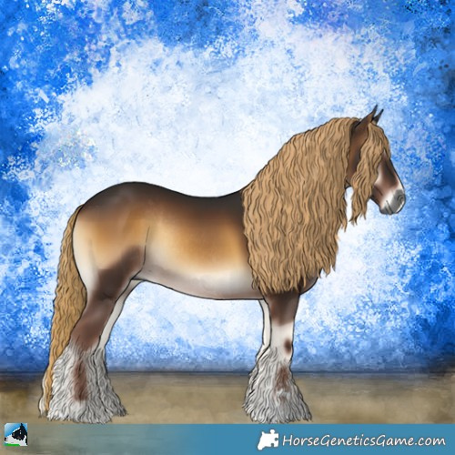 Horse Color:Gray Liver Red Onyx Sabino Rabicano 