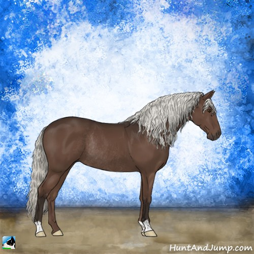Horse Color:Liver Chestnut Mushroom Rabicano 