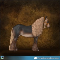 Horse Color:Liver Chestnut Rabicano 