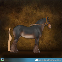 Horse Color:Liver Chestnut Rabicano 